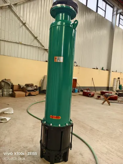 Wqx Coal Mine Sewage Pump, High Flow Downward Suction Submersible Pump